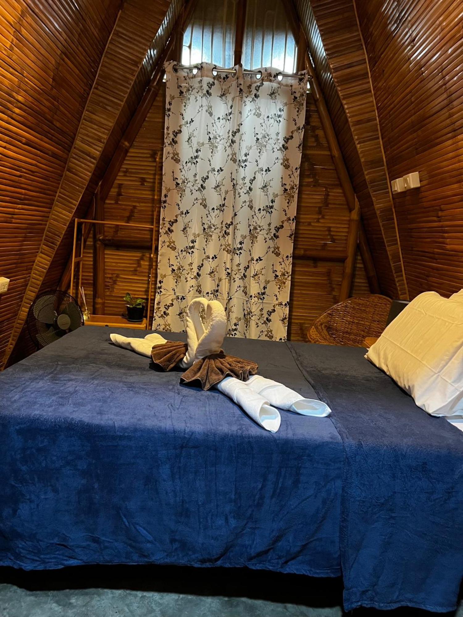 The Backyard Hostel *