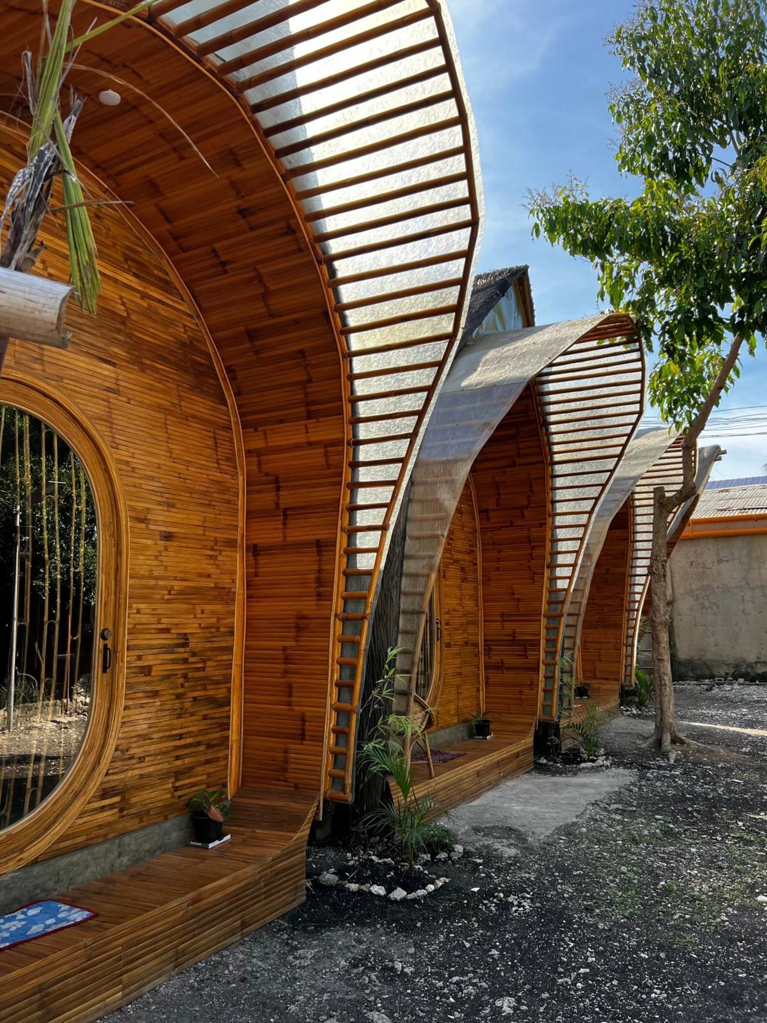 The Backyard Hostel Moalboal