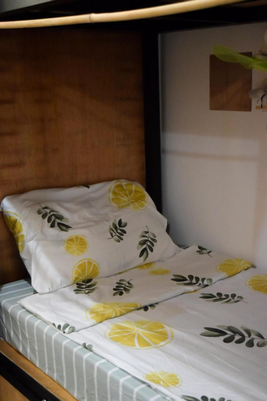 The Backyard Hostel
