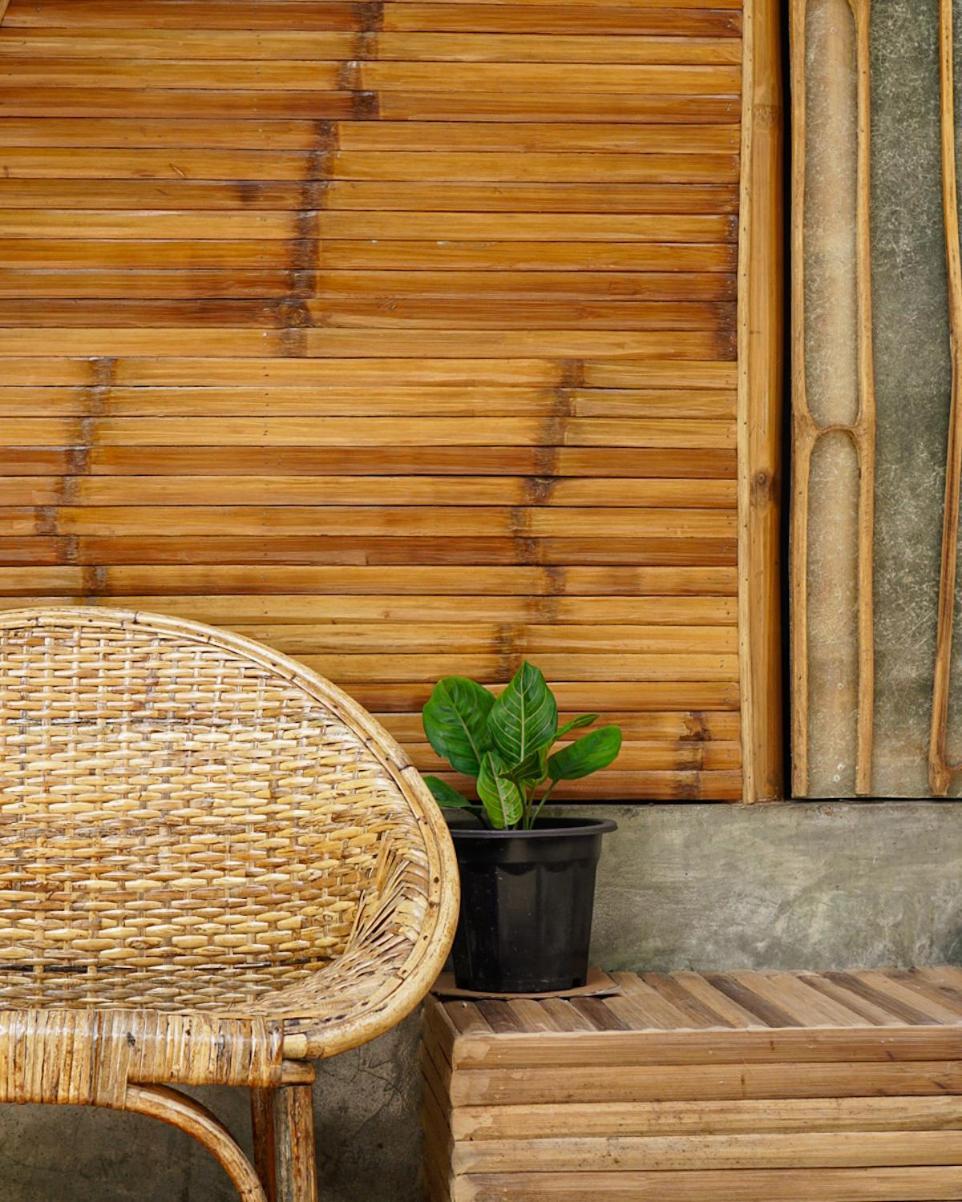 The Backyard Hostel Moalboal