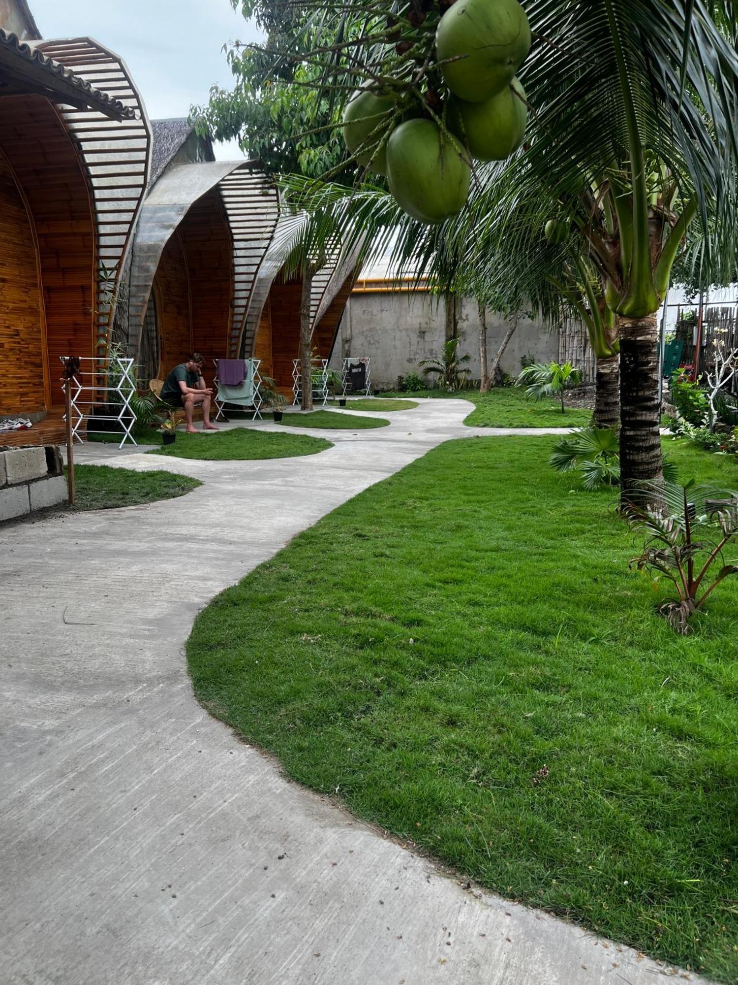Hostel The Backyard *